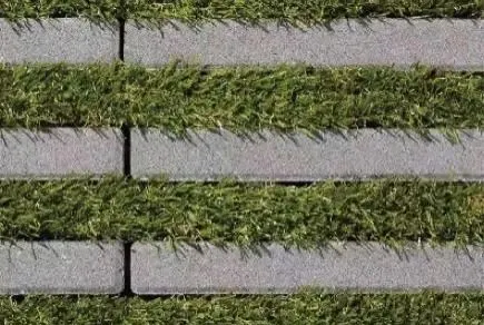 ɽƹӦýƷȷӦԵĿ嵥