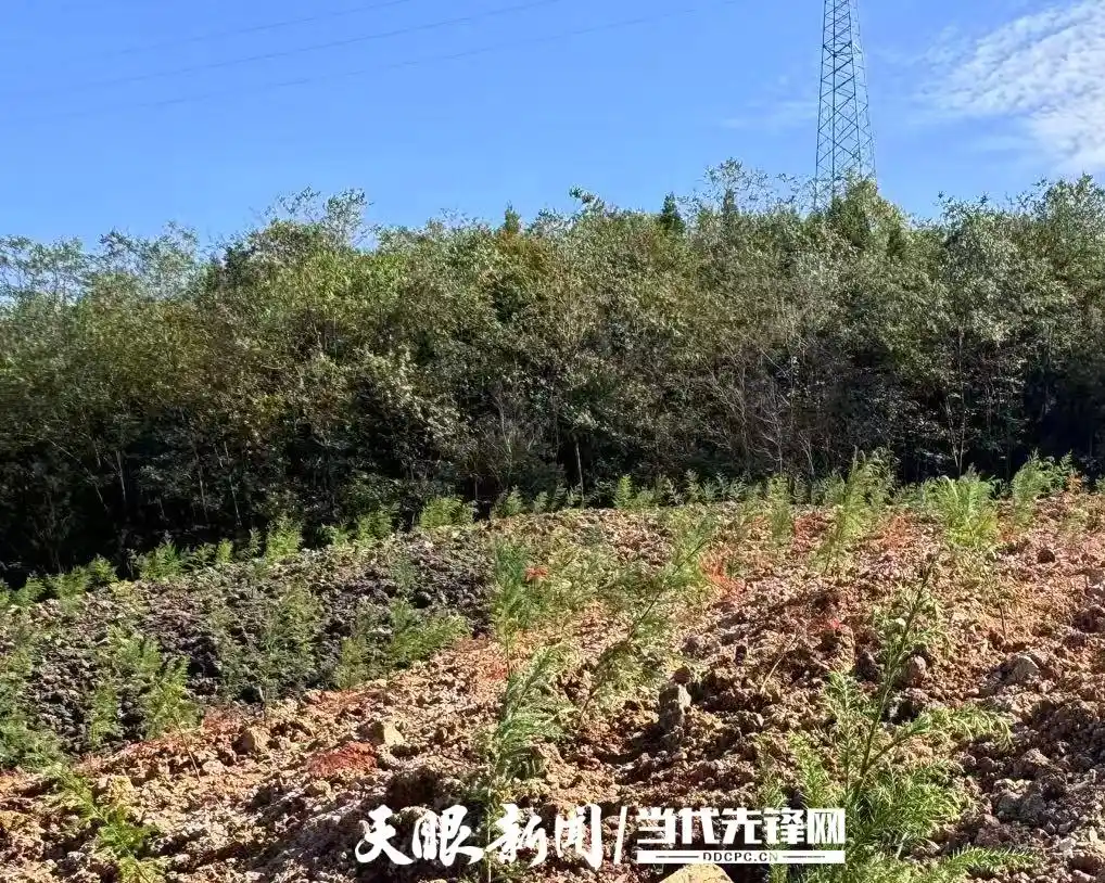 �������޸����٣�ũ���������������������ƽ⽨��������������