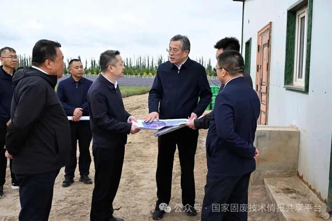 �������������붽��ͨ���󣬺����ѣ�ֱ�����⡢��������