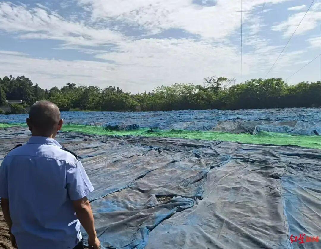 成都23个区(市)县同步出动,建筑垃圾投诉最快2小时见效